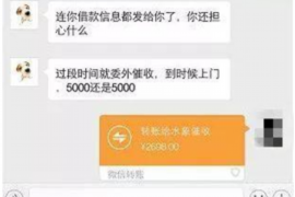 市中区为什么选择专业追讨公司来处理您的债务纠纷？